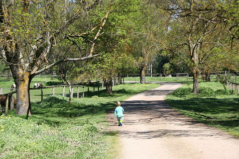 Kingbilli - SA Accommodation 3