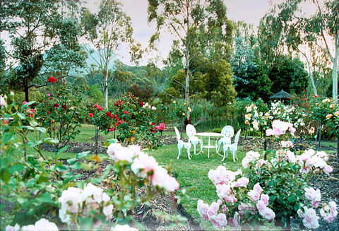 Kingbilli - SA Accommodation 4