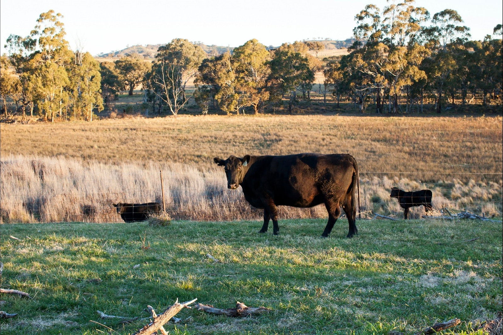Meroo NSW SA Accommodation