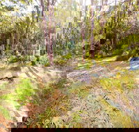 Mackaway Bay campground - SA Accommodation