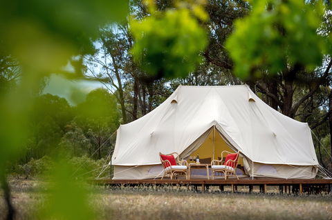 Balgownie Estate Winery Glamping & Accommodation - SA Accommodation 0
