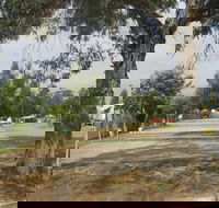 Country Acres Caravan Park - SA Accommodation
