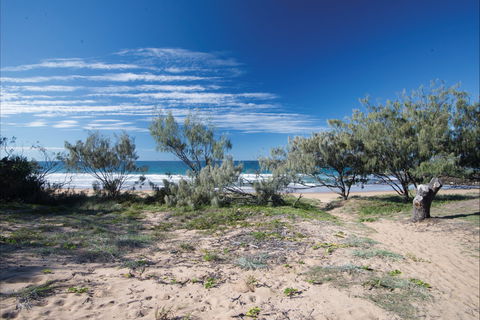 Deepwater National Park Camping - SA Accommodation 0