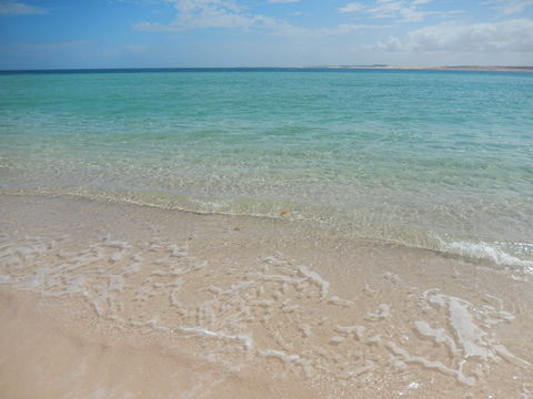 Gnaraloo Station - SA Accommodation 0