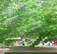 Hill End Holiday Ranch - SA Accommodation
