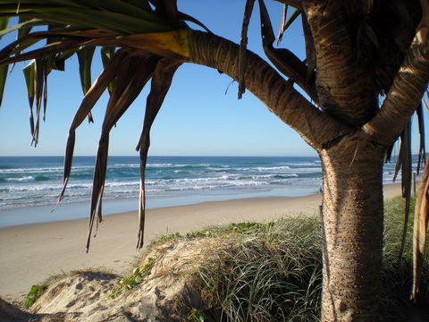 Horizons At Peregian - SA Accommodation 0