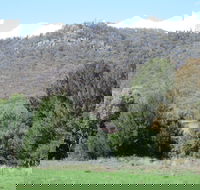 Jessica's Guest House and Vineyard - SA Accommodation