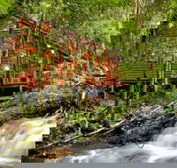 The Mouses House - Rainforest Retreat - SA Accommodation