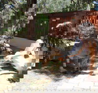 Yelverton Brook Eco Spa Retreat and Conservation Sanctuary - SA Accommodation