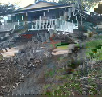 Bush and Bay Cottage - SA Accommodation