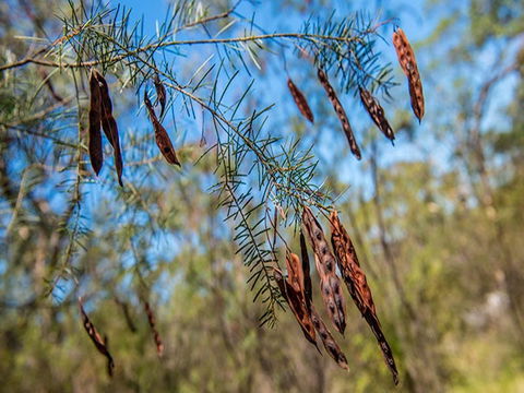 Finchley Campground - SA Accommodation 1