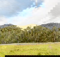 Mountain Arm campground - SA Accommodation