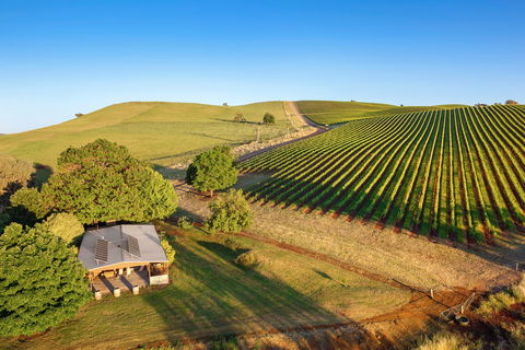 Mt Bellevue - King Valley - SA Accommodation 0