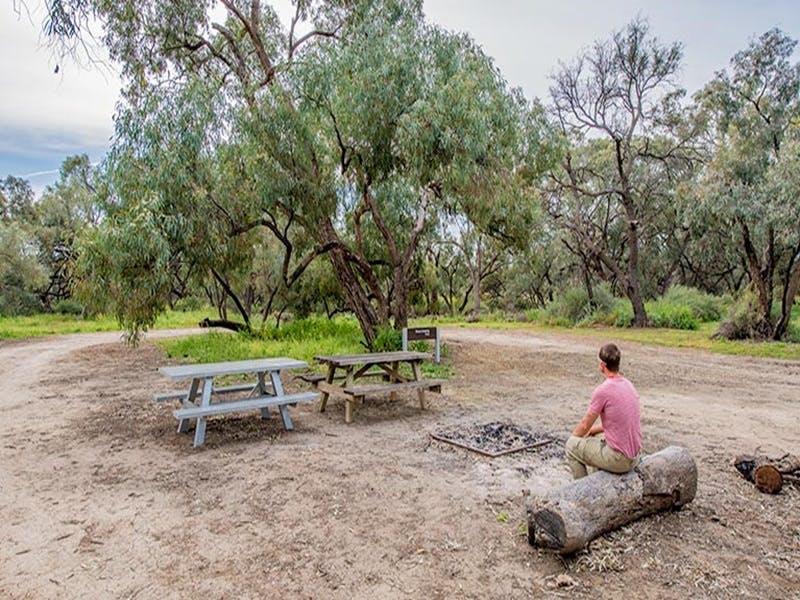Roto NSW SA Accommodation