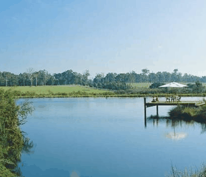 Forest Rise Eco Retreat - SA Accommodation