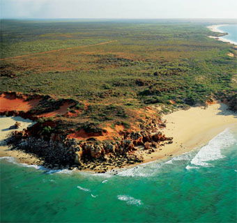 Eco Beach Wilderness Retreat - SA Accommodation 2