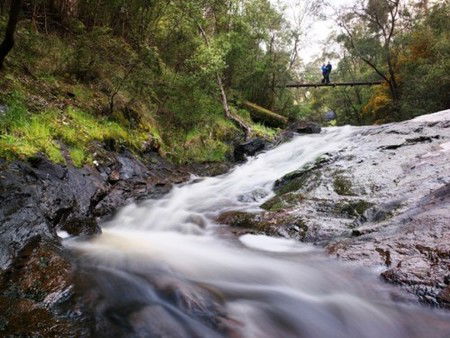 Karri Valley Resort - SA Accommodation 2