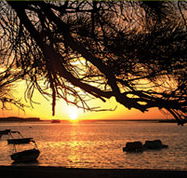 Pelican's Nest - SA Accommodation