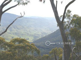 Craigmhor Mountain Retreat - SA Accommodation 0