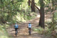 Craigmhor Mountain Retreat - SA Accommodation 2