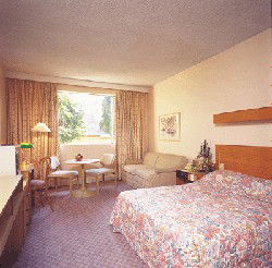 Country Comfort Armidale - SA Accommodation 3
