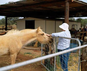 Reedy WA SA Accommodation