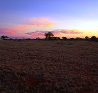 Wogarno Homestead - SA Accommodation