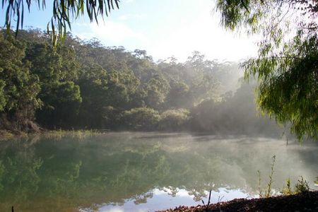 Karri Valley Chalets - SA Accommodation 2