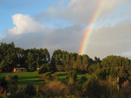 Pemberton Lavender And Berry Farm Cafe And Cottages - SA Accommodation 3