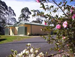 Bega Caravan Park - SA Accommodation 5