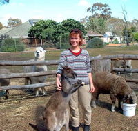 Kemminup Farm - SA Accommodation