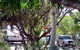 Kojonup Caravan Park - thumb 1