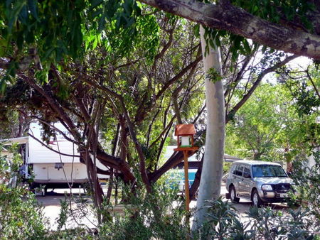 Kojonup Caravan Park - SA Accommodation 1