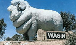 Wagin Motel - SA Accommodation