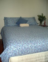 Bawley Point Bungalows - SA Accommodation 3