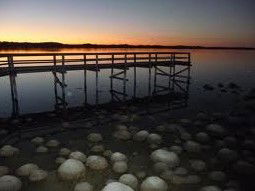 Lake Clifton WA SA Accommodation