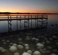 Lake Clifton Caravan Park - SA Accommodation