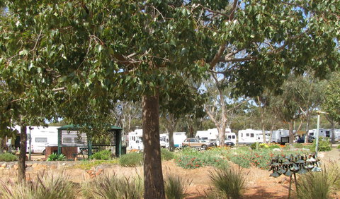 Goomalling Caravan Park - SA Accommodation 2