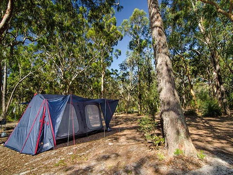 Boomeri Campground - SA Accommodation 1