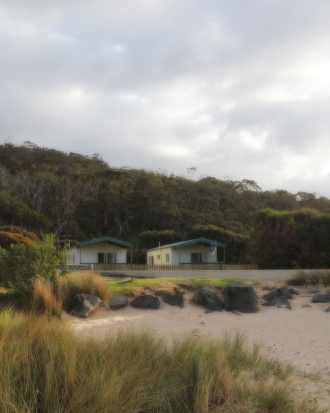 Kennett River Holiday Park - SA Accommodation 0