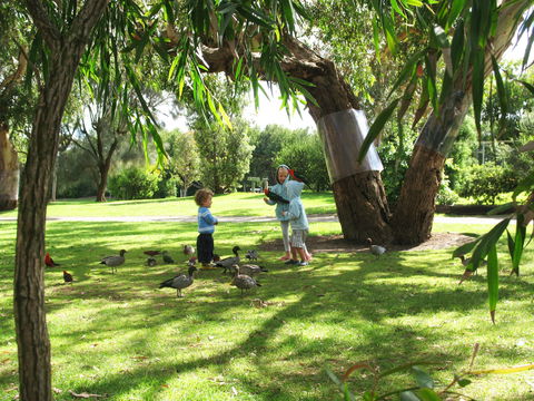 Kennett River Holiday Park - SA Accommodation 1