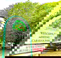 Molong Caravan Park - SA Accommodation