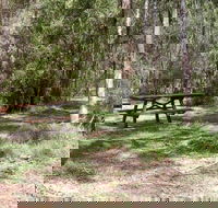 Mulloon Creek campground - SA Accommodation