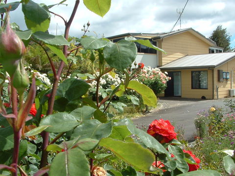 North East Restawhile Bed And Breakfast - SA Accommodation 1