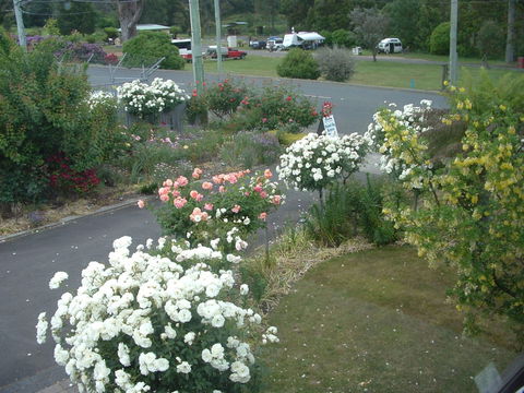 North East Restawhile Bed And Breakfast - SA Accommodation 2
