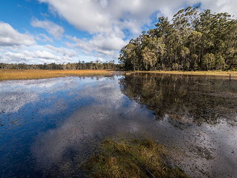 Nunnock Campground - SA Accommodation 2