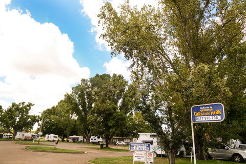 Quirindi Caravan Park - SA Accommodation 0