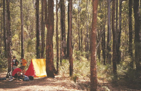 Stringers Camp At Lane Poole Reserve - SA Accommodation 1