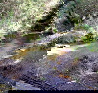 Wheeny Creek campground - SA Accommodation