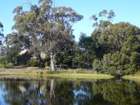 Wind Song Bed And Breakfast - SA Accommodation 2